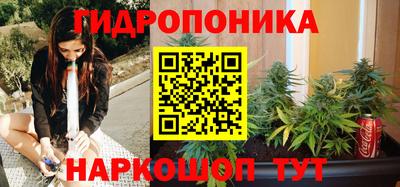 стаф Тулун